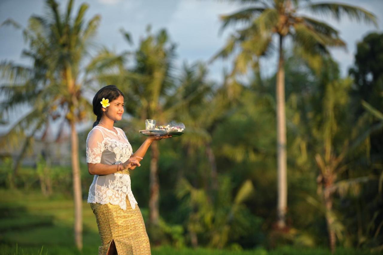 Jegeg Mas Cottage Ubud Kültér fotó